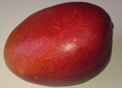 Dit is een mango